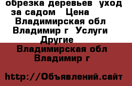 обрезка деревьев, уход за садом › Цена ­ 100 - Владимирская обл., Владимир г. Услуги » Другие   . Владимирская обл.,Владимир г.